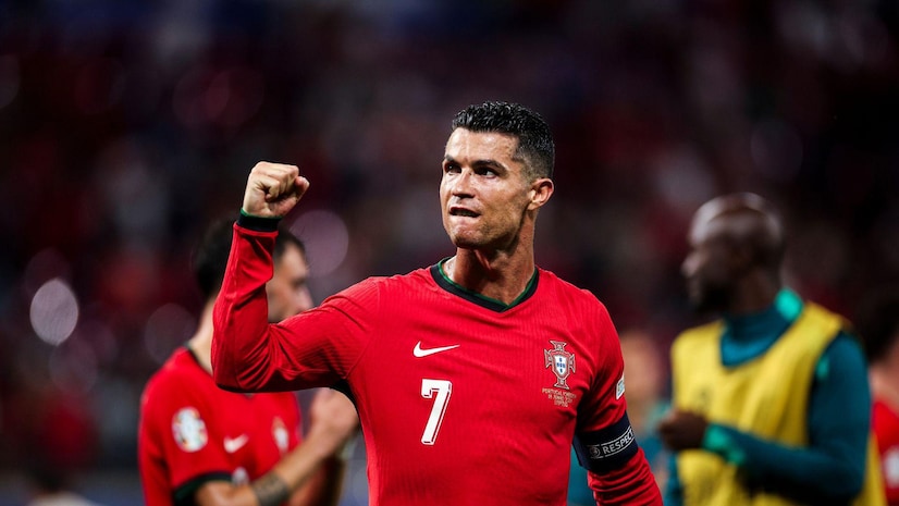 百贺飞驹 百贺飞驹